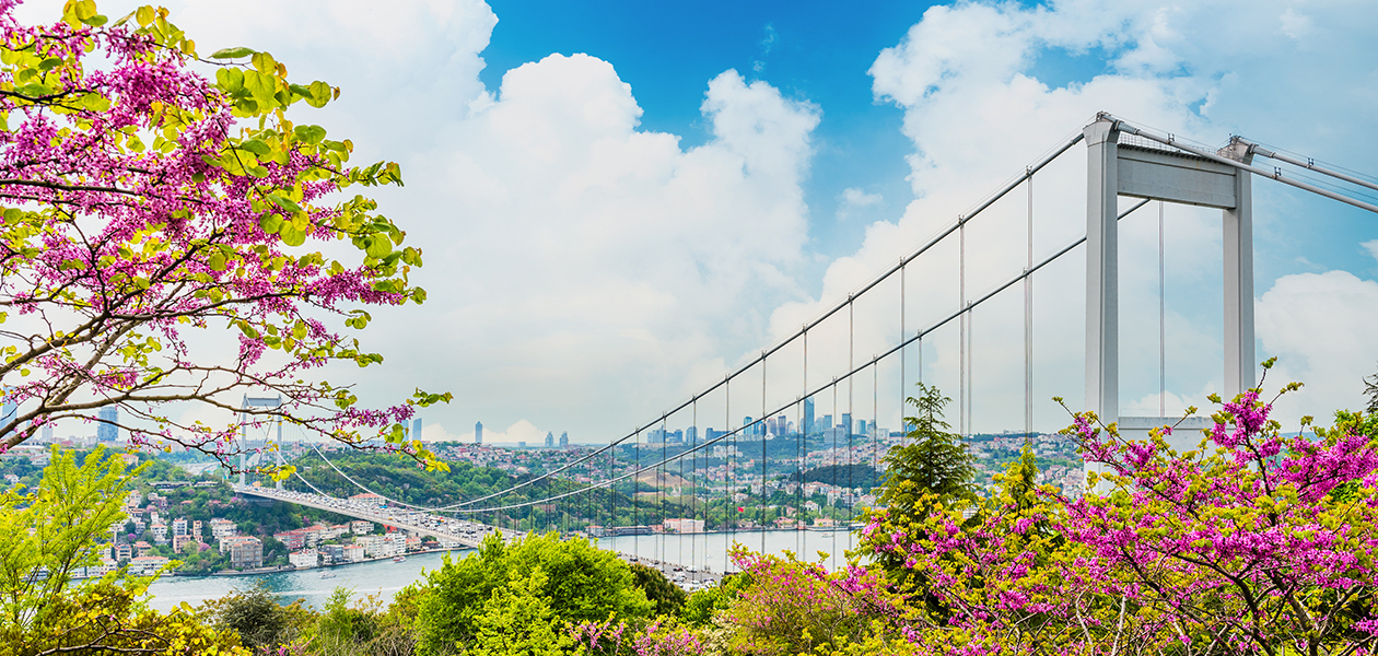 study-in-turkey-2